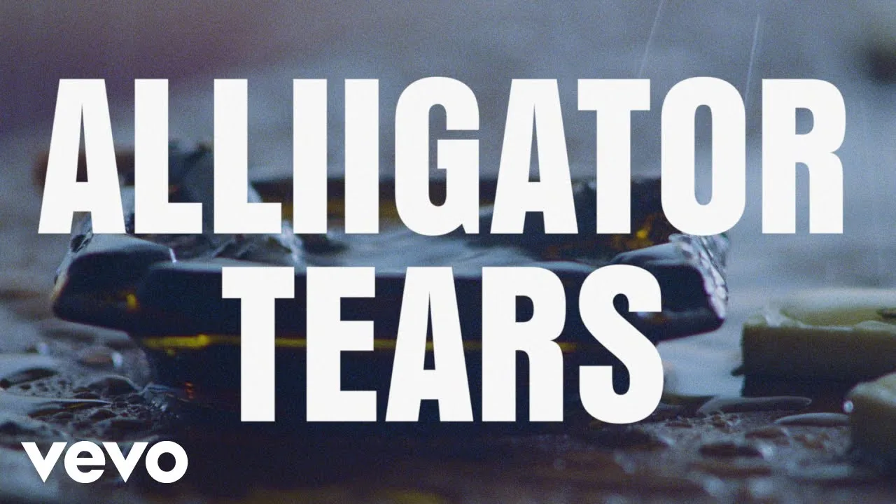 ALLIIGATOR TEARS Song Lyrics - Beyoncé Knowles 2024