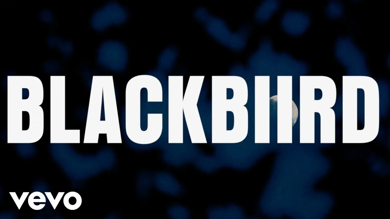 BLACKBIIRD Song Lyrics - Beyoncé Knowles 2024