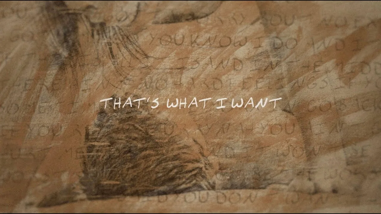 What I Want Song Lyrics - Morgan Wallen, Tate McRae 2025